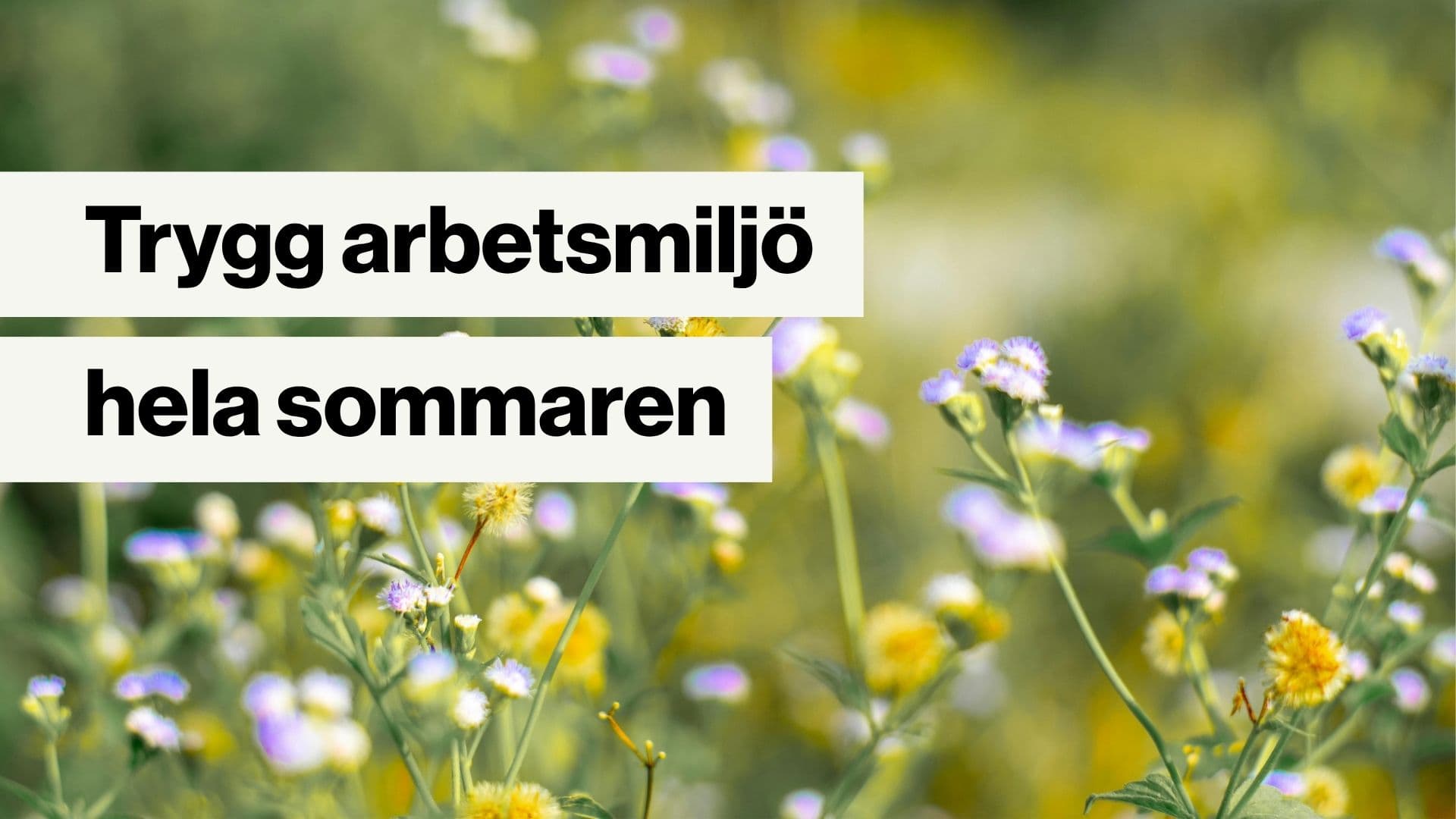 Glad sommar - så säkerställer du en trygg arbetsmiljö under semestern